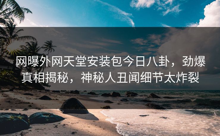 网曝外网天堂安装包今日八卦，劲爆真相揭秘，神秘人丑闻细节太炸裂