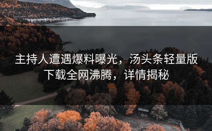 主持人遭遇爆料曝光，汤头条轻量版下载全网沸腾，详情揭秘