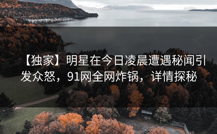 【独家】明星在今日凌晨遭遇秘闻引发众怒，91网全网炸锅，详情探秘