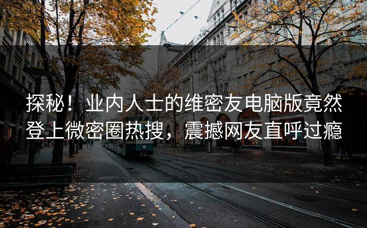 探秘！业内人士的维密友电脑版竟然登上微密圈热搜，震撼网友直呼过瘾
