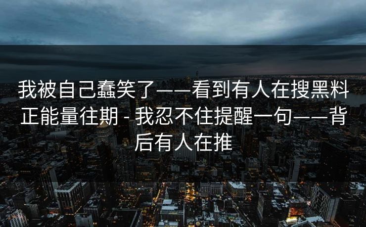 我被自己蠢笑了——看到有人在搜黑料正能量往期 - 我忍不住提醒一句——背后有人在推